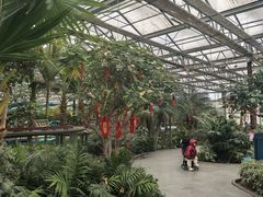 -南宫五洲植物乐园