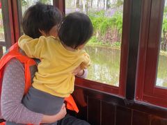 -合肥滨湖国家森林公园