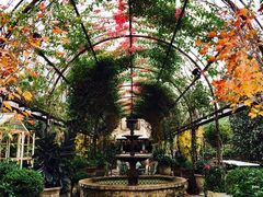 -The Grounds of Alexandria