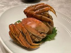 茅台百草醉醉蟹-海味观(老西门店)