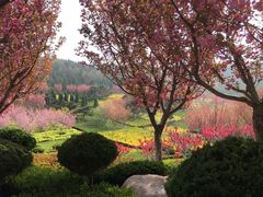 -石岛赤山风景区