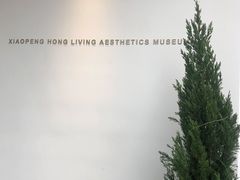 -洪小鹏生活美学馆(领SHOW天地店)