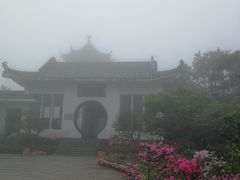 -梧桐山风景名胜区