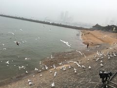 -老味道民宿(栈桥店)