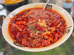 -青城甲(青城山店)