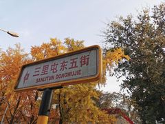 -三里屯东五街银杏大道