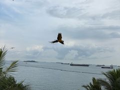 -巴拉湾海滩