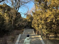 -黄帝陵