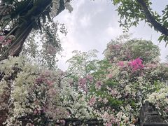 -深圳国际园林花卉博览园