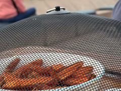 -悉尼歌剧院