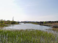 -太湖湖滨国家湿地公园-停车场