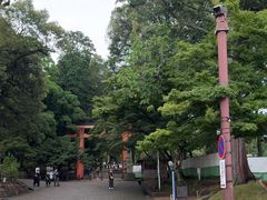 -奈良公园