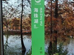-海珠湖公园