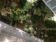 -潮粥荟·潮汕砂锅粥(朝阳大悦城店)