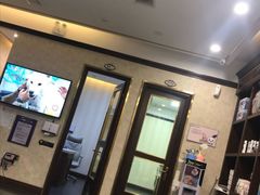 -宠爱国际动物医院· 猫科· 外科·中兽医(长白店)
