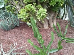 -南通洲际绿博园