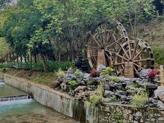 -广州白江湖森林公园