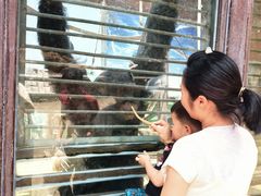 -昆明动物园