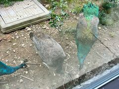 -苏州环秀晓筑养生度假村