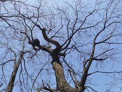 -终南山南五台景区