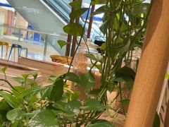 -渝信川菜 · 川味家常菜(财富购物中心店)