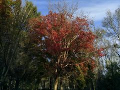 -长春市南湖公园