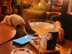 -咖法森林·咖啡  酒吧(天河店)