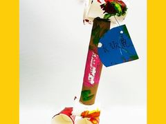 -杨梅红艺术教育(北京金源购物中心校区)