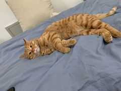 -宠颐生宠物医院·犬猫全科·皮肤科(商业街店)