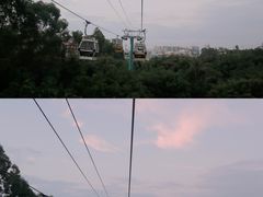 -广州长隆野生动物世界
