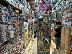 -鸿兴玩具