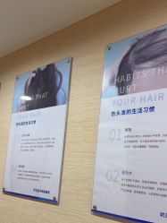 -碧莲盛·不剃发植发