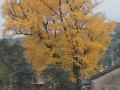 -丹山赤水风景名胜区