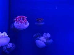 -福州罗源湾海洋世界旅游区