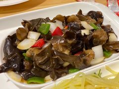 -泉城欧乐堡海洋极地世界