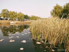 -华北理工大学(曹妃甸校区)