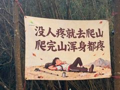 -广州白江湖森林公园