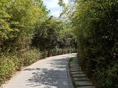 -西安汉城湖景区