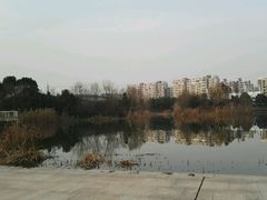 -新江湾城公园