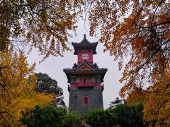 -四川大学(华西校区)