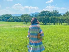 -福建鲤鱼洲酒店