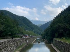 -牛背梁国家森林公园