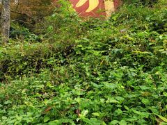 -终南山南五台景区