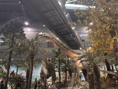 -湖南省地质博物馆