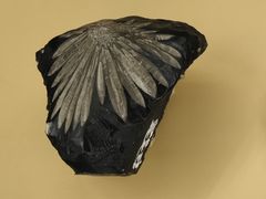 -湖南省地质博物馆