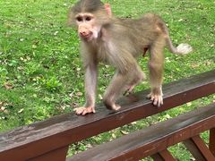 -泉州海丝野生动物世界