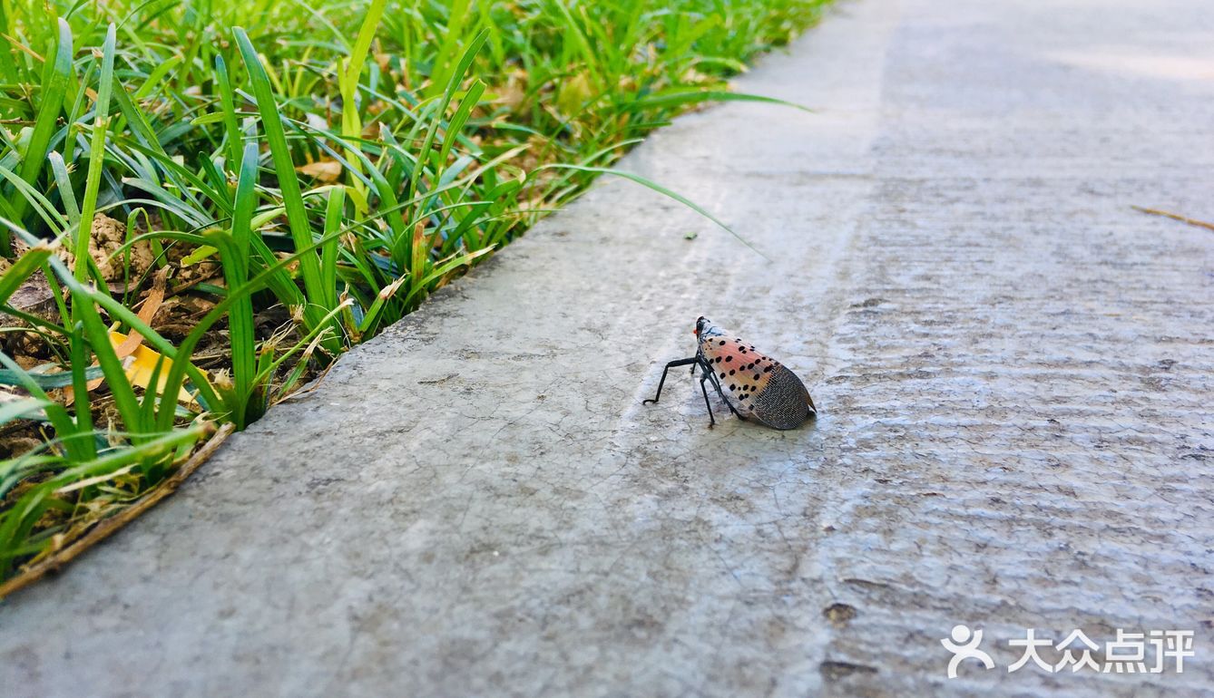 31-20摄氏度，吹着风温度还超级舒服