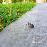 31-20摄氏度，吹着风温度还超级舒服