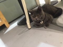 -小时光咖啡馆(开森度假森林店)