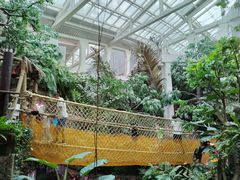 -正佳雨林生态植物园